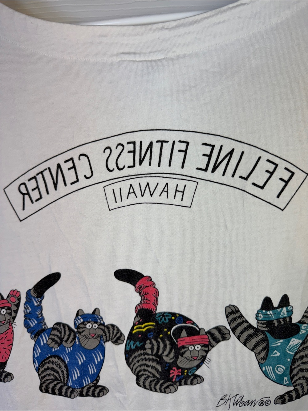 Vintage Kliban Cat Tank Top Feline Fitness Center Hawaii Women’s M Yoga Aerobics - Picture 13 of 15
